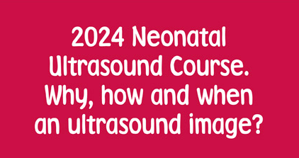 <p>2024 Neonatal Ultrasound Course. Why, how and when<br />
an ultrasound image?</p>
